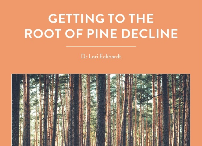 Dr Lori Eckhardt is investigating the cause of a deadly root disease – known as pine decline – in the southeastern United States. Using hyperspectral interferometry […]