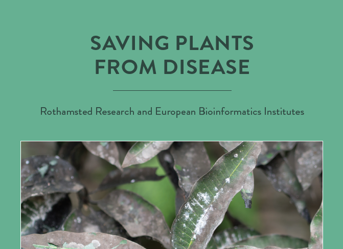 To prevent outbreaks of disease destroying wheat and other vital food crops, scientists from the Rothamsted Research and European Bioinformatics Institutes are […]