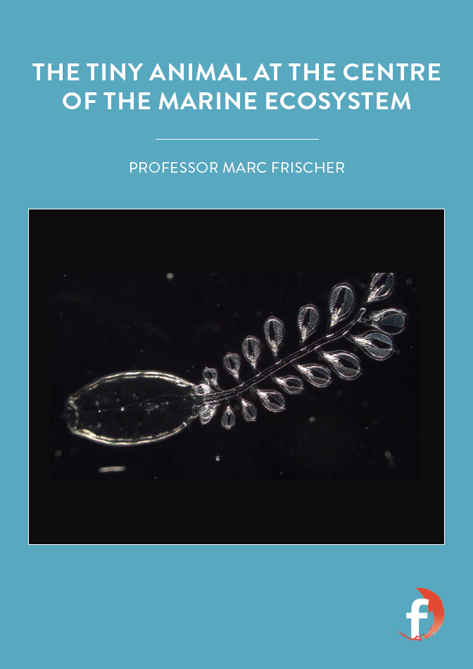 The tiny animal at the centre of the marine ecosystem - Futurum