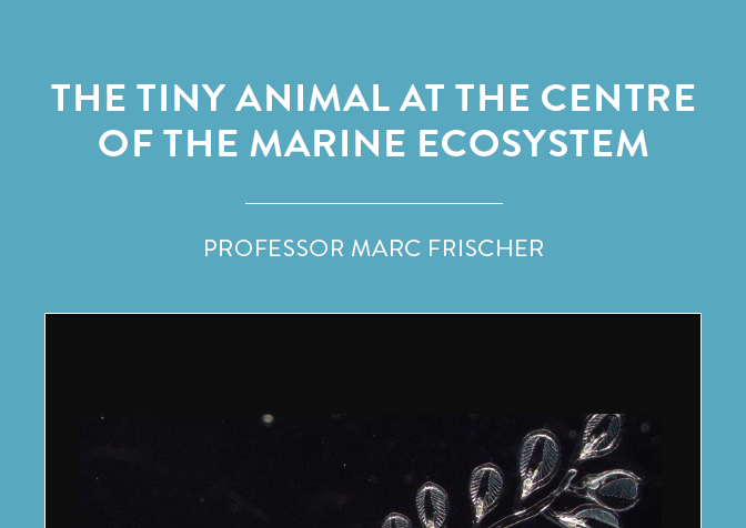 Professor Marc Frischer, from the University of Georgia’s Skidaway Institute of Oceanography, is investigating tiny ocean creatures known as doliolids and the food they eat. Why? […]