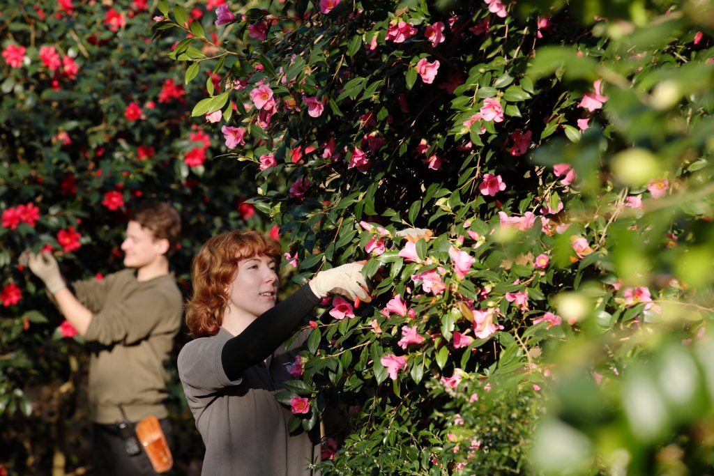 Careers with plants and why they matter to YOU Futurum