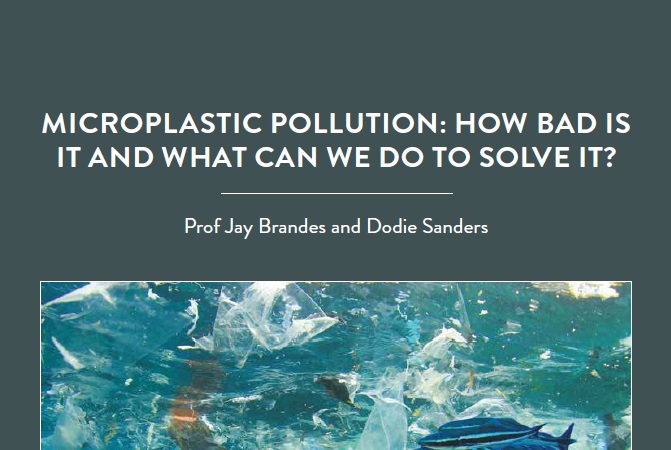 Based at the Skidaway Institute of Oceanography and the University of Georgia Marine Extension in the US, Professor Jay Brandes and Dodie Sanders are […]