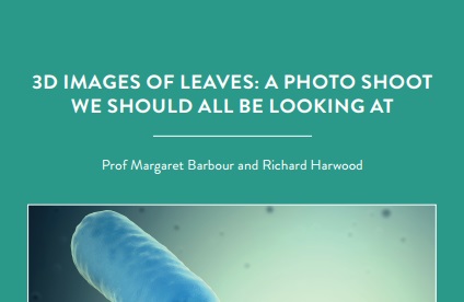 In our modern age of “plant blindness” – where people underappreciate the plants around us – Professor Margaret Barbour and her PhD student, Richard[…]