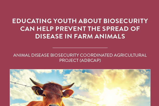 Scientists working on the Animal Disease Biosecurity Coordinated Agricultural Project are investigating biosecurity measures designed […]