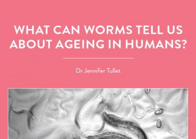 A nematode worm called C. Elegans has a lifespan of about three weeks, so what can it tell us about how and why we age? Biogerontologist […]