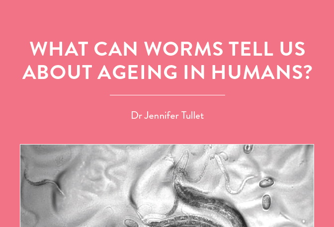 A nematode worm called C. Elegans has a lifespan of about three weeks, so what can it tell us about how and why we age? Biogerontologist […]