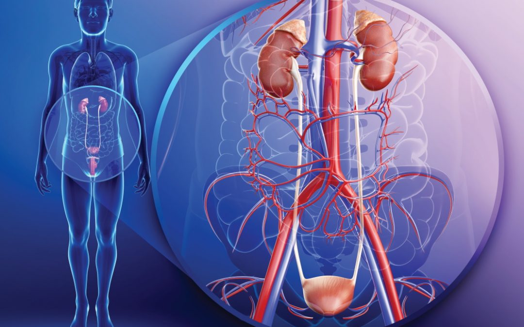 How mice can reveal the secrets of rare diseases