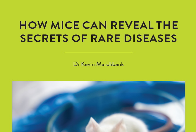 Even though medicine has advanced a lot over the last century, there are still many unanswered questions. This is especially […]