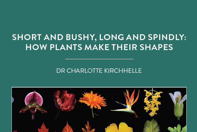 Dr Charlotte Kirchhelle, based at the University of Oxford, is investigating the role of cell geometry in shaping plants’ organs – namely […]