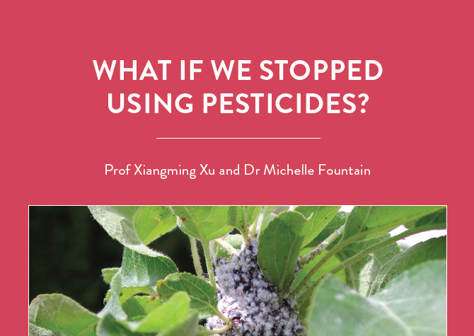 Farmers use chemical products to control weeds, pests and diseases. While they are extremely effective, relying solely on these products […]