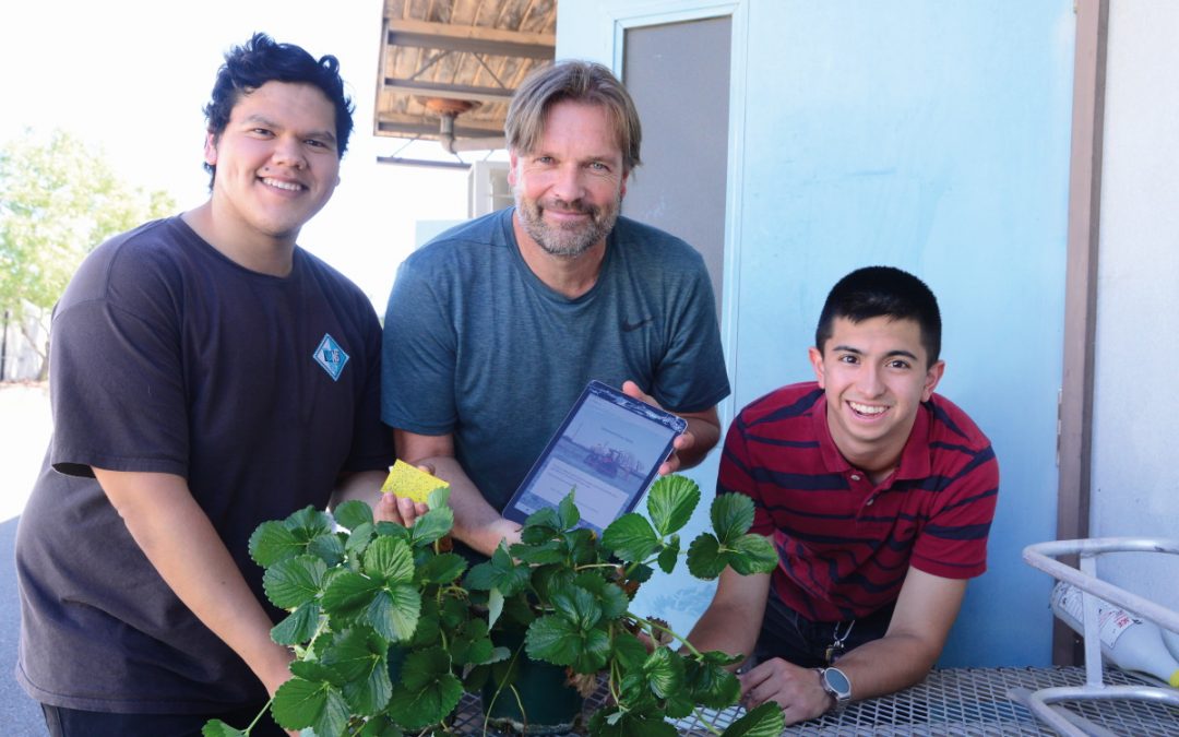The computer science undergrads helping farmers adopt sustainable farming practices