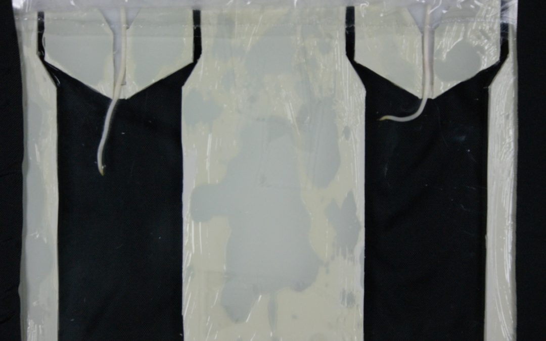 Sensor engineering gets to the root of problems with food production