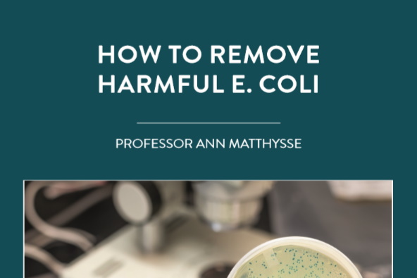 Professor Ann Matthysse is a geneticist based at the University of North Carolina at Chapel Hill, USA. She is investigating E.coli […]
