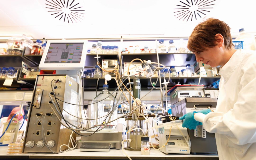 Five researchers working on lifelong health in very different ways