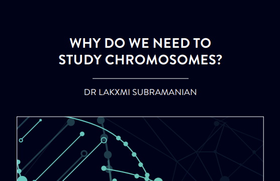 Dr Lakxmi Subramanian, based at Queen Mary University of London in the UK, is investigating how chromosomes segregate […]