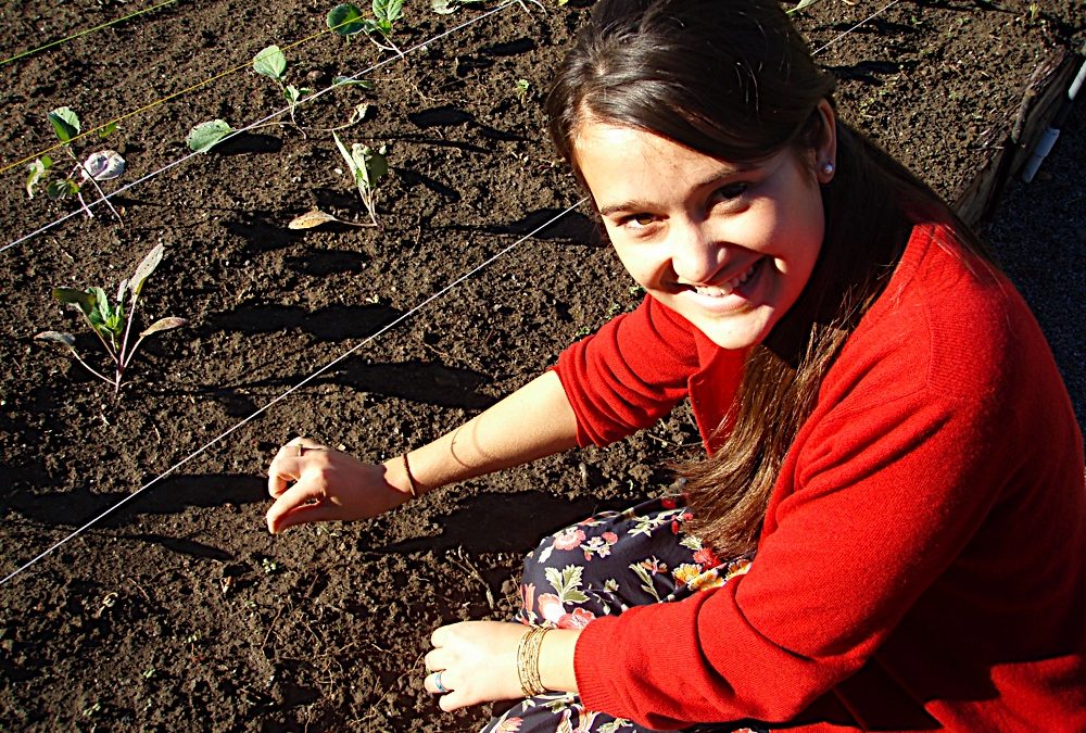 16 free food education activities for World Food Day 2020-21