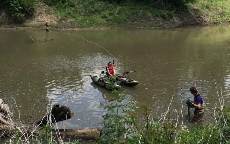 How can urban trees reduce flooding and pollution?