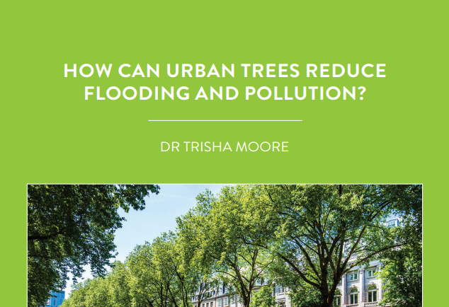 Dr Trisha Moore is a biological and agricultural engineer based at Kansas State University in the US. Her research is wide […]