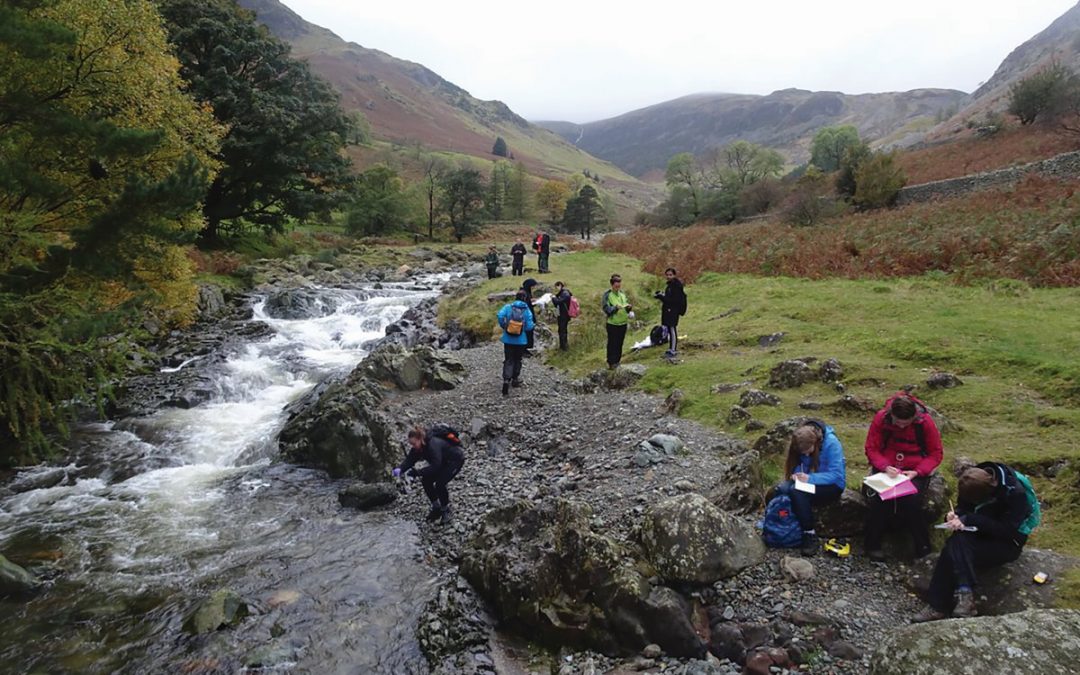 How do nutrients and pollutants travel from rivers to the sea?