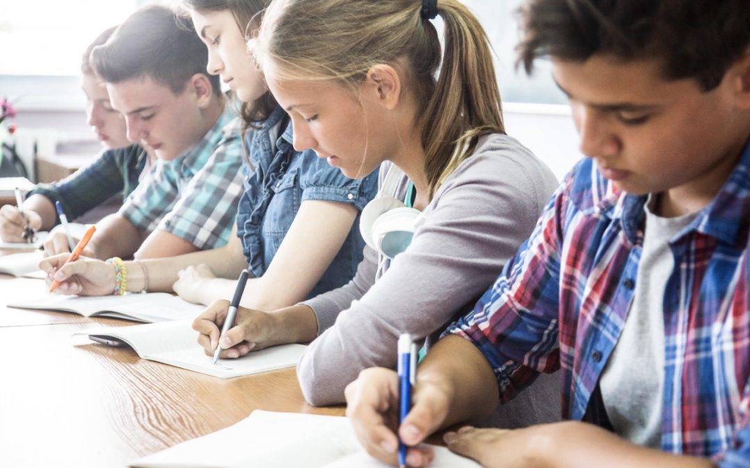 Why writing skills are important for STEM students