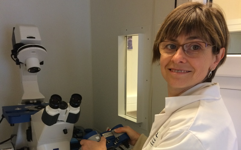 Using nanotechnology to overcome the adhesion of the bacterial pathogen Staphylococcus Aureus