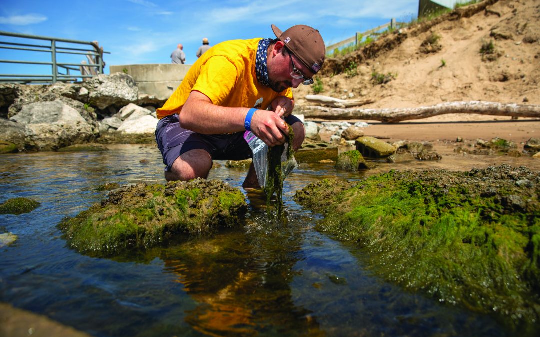 Detecting microplastics in a great lakes watershed with undergraduate students