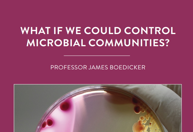 At his lab at the University of Southern California in the US, Professor James Boedicker and his team focus on understanding the rules that […]