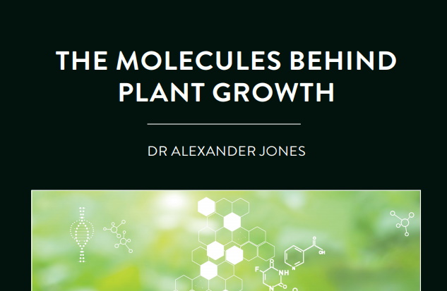 Plants coordinate their growth through hormones – chemical messengers that instruct cells to do certain activities. Dr Alexander Jones […]