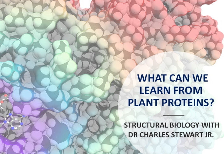 What can we learn from plant proteins?