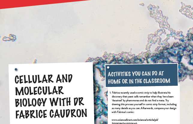 Cellular and Molecular Biology