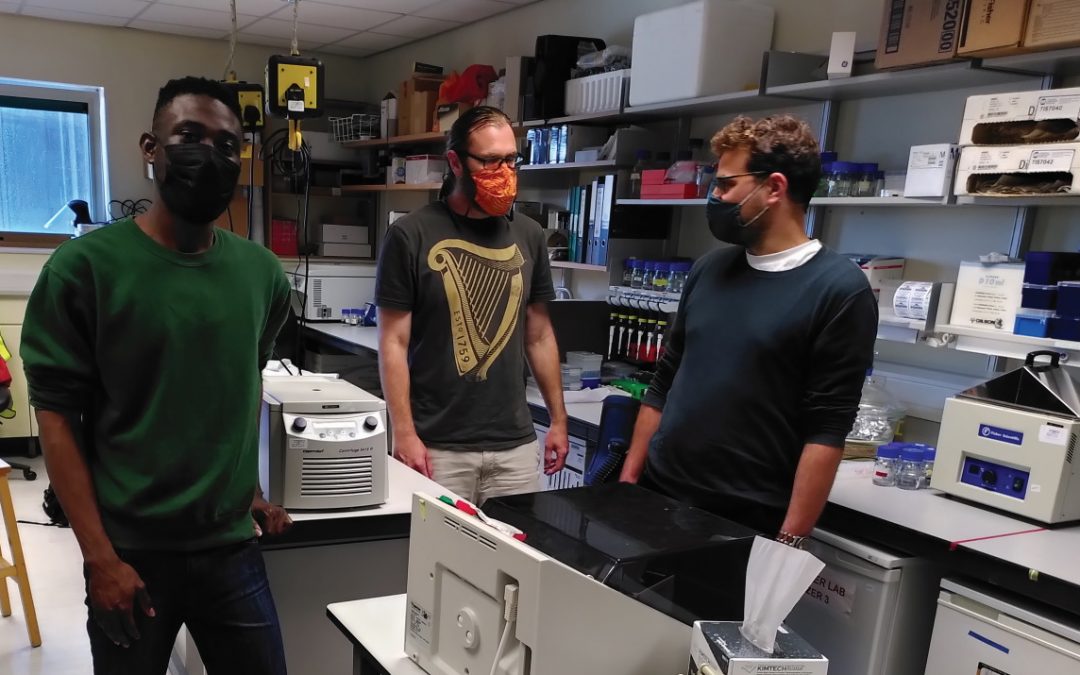 How do cells control protein levels?