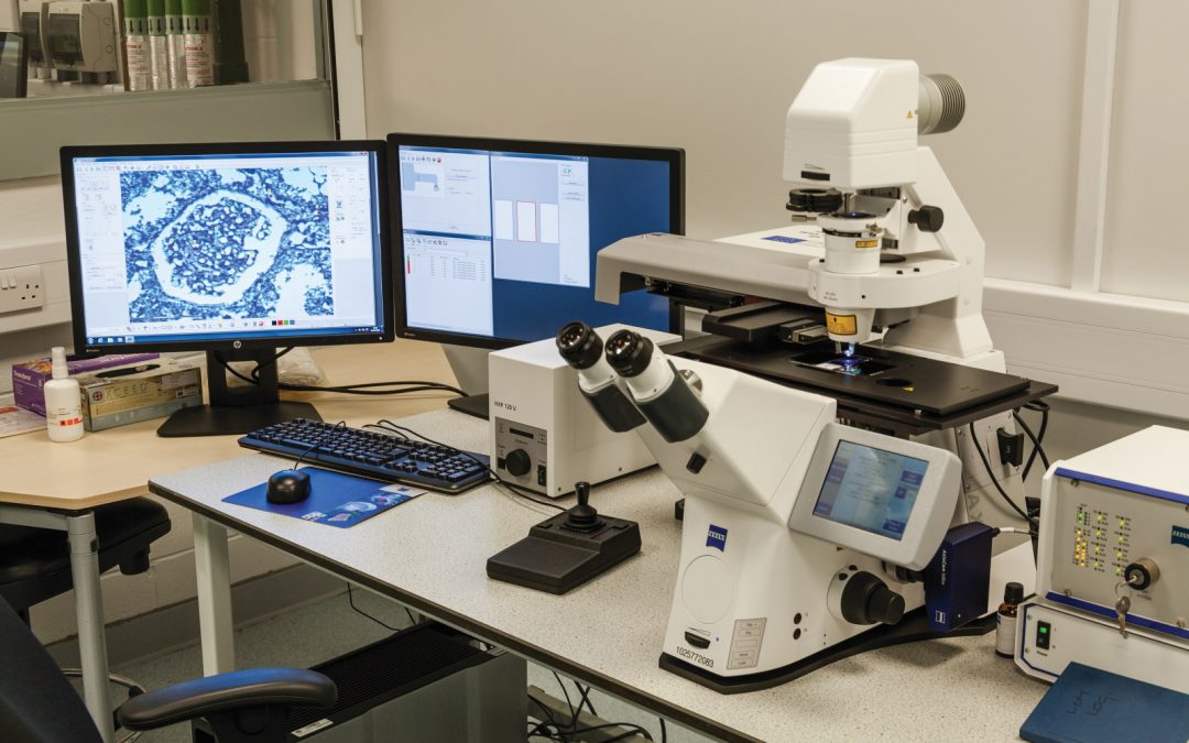 What if we understood the genetic causes of cancer?