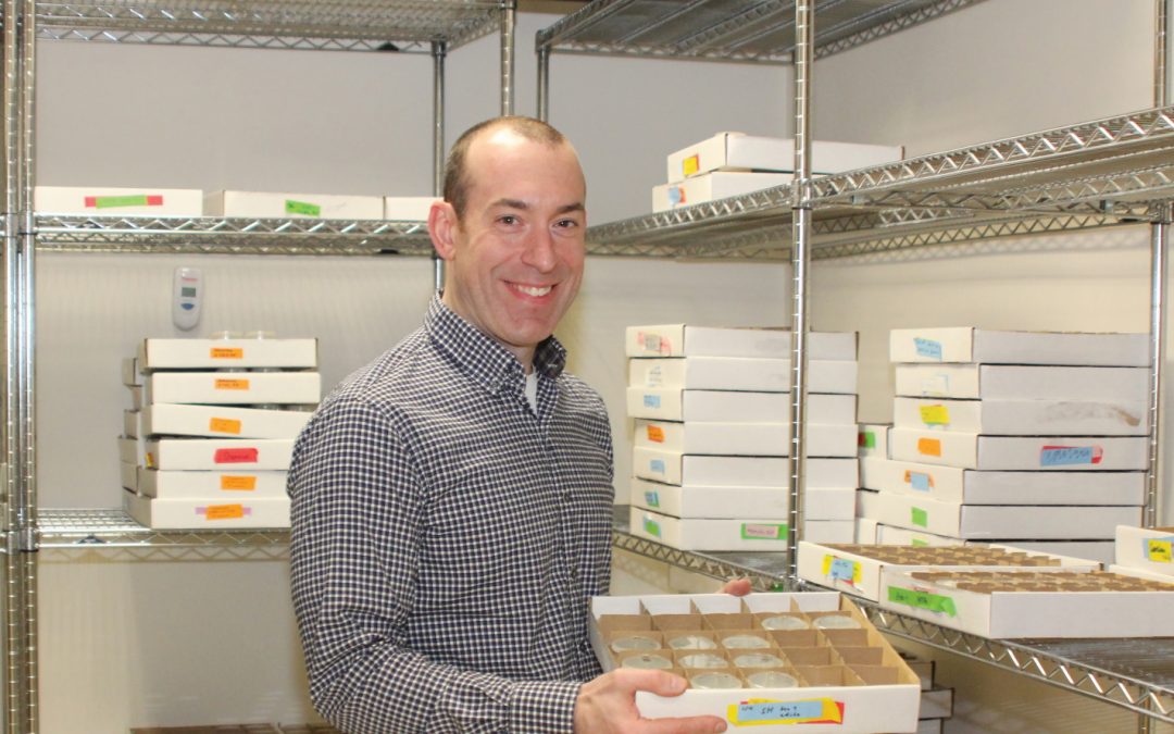 Why worms matter: the importance of nematode diversity for studying biology and evolution