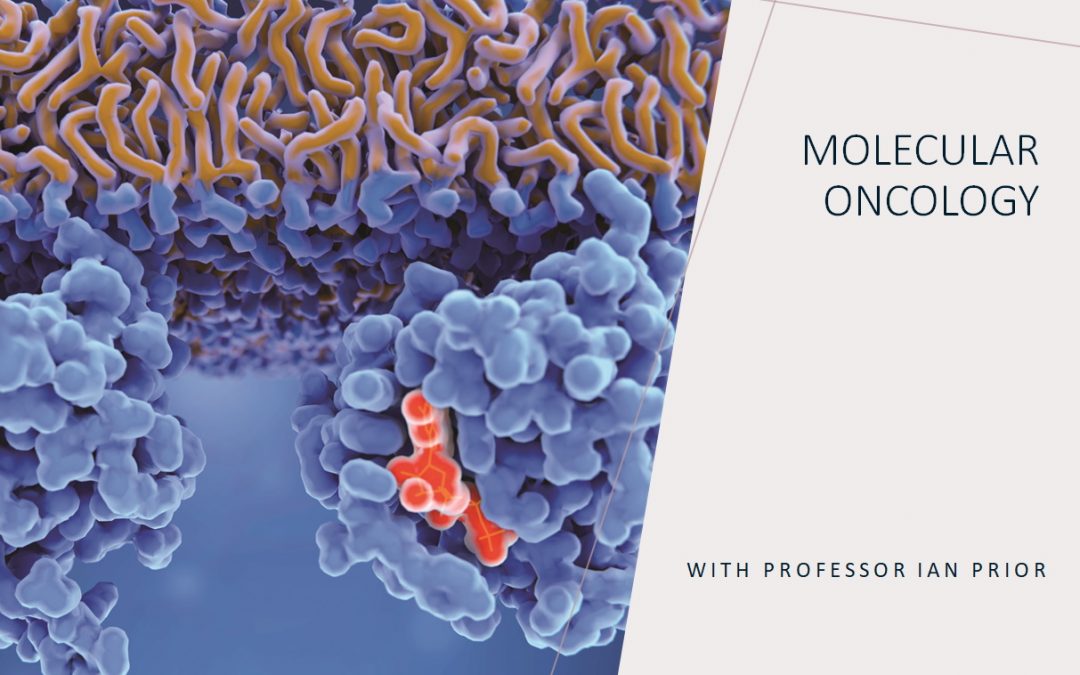 Molecular Oncology