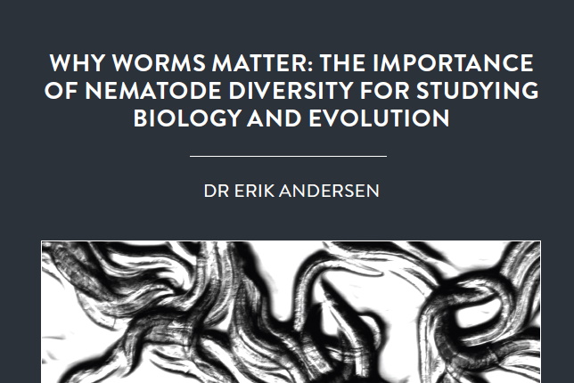 Dr Erik Andersen, of Northwestern University in the USA, is a man with a mission – to capture the genetic diversity of Caenorhabditis elegans […]
