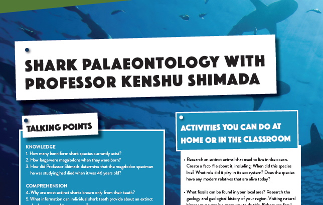 Shark Palaeontology