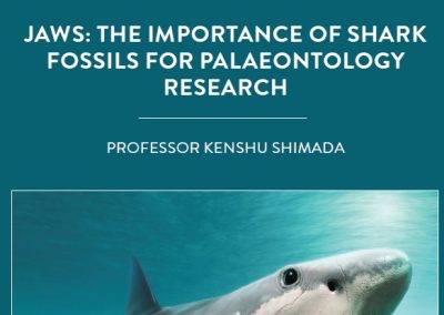 Most of our knowledge of prehistoric sharks comes from their fossilised teeth. Complete shark fossils can teach us a huge amount about […]