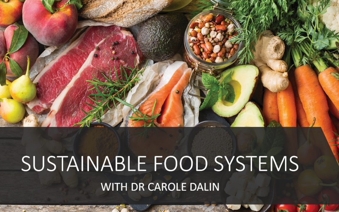 Sustainable Food Systems