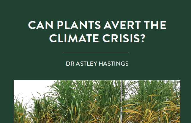 Grow plants, burn them for energy, then bury the carbon deep underground. This is the principle behind biomass energy with carbon […]