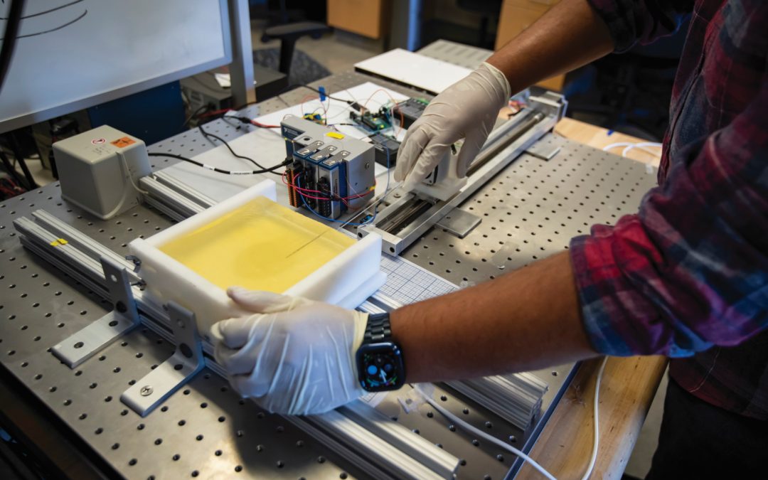 What are engineers learning from insects?