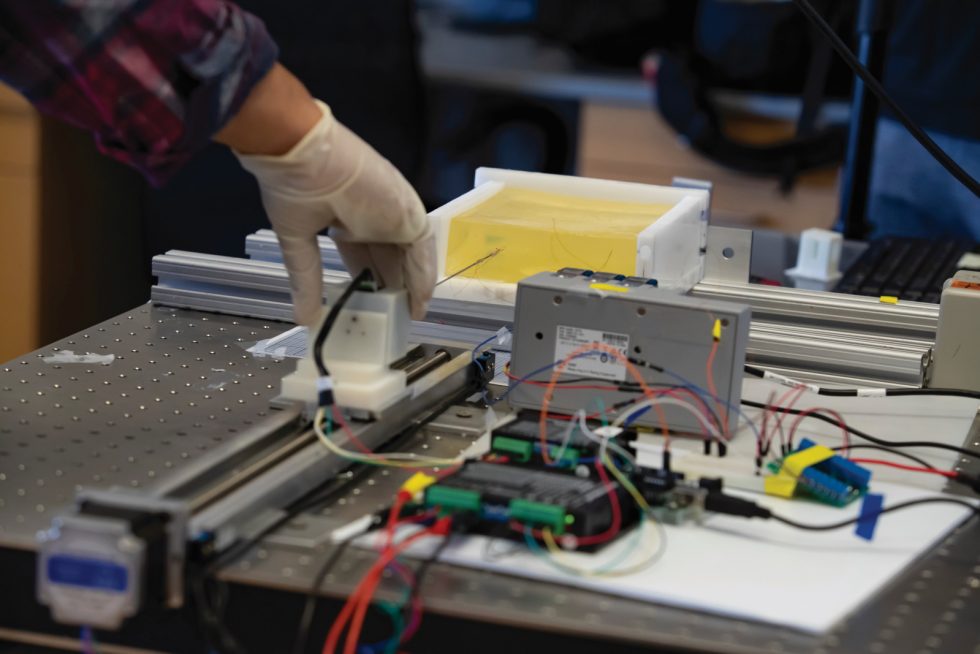 Testing On Insects What are engineers learning from insects? - Futurum