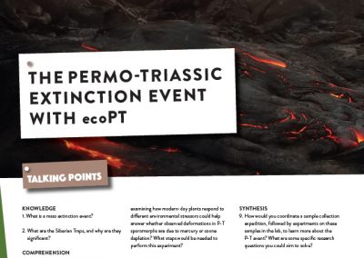 The Permo-Triassic Extinction Event
