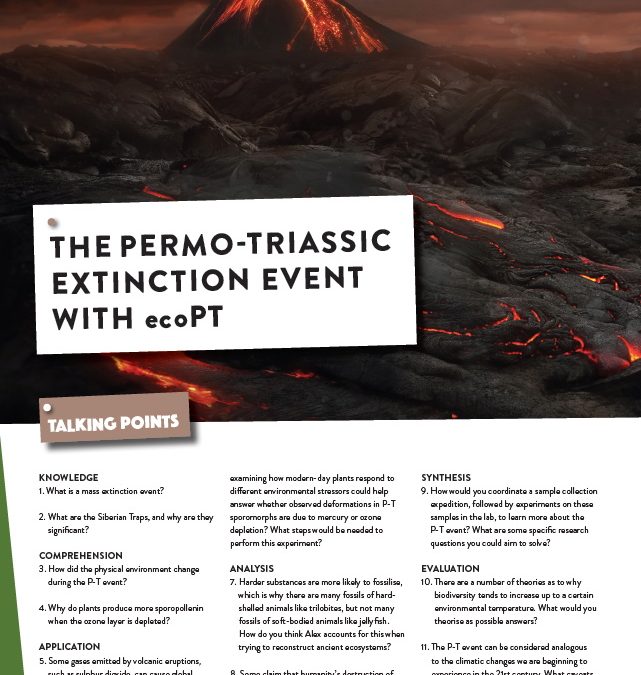 The Permo-Triassic Extinction Event