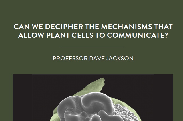 Humans depend on plants for their survival. Plants provide the oxygen we breathe and the food we eat, but much of their functioning […]
