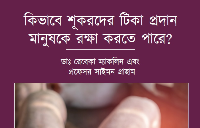 কীভাবে শূকরদের টিকা প্রদান মানুষকে রক্ষা করতে পারে?