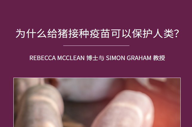 为什么给猪接种疫苗可以保护人类？