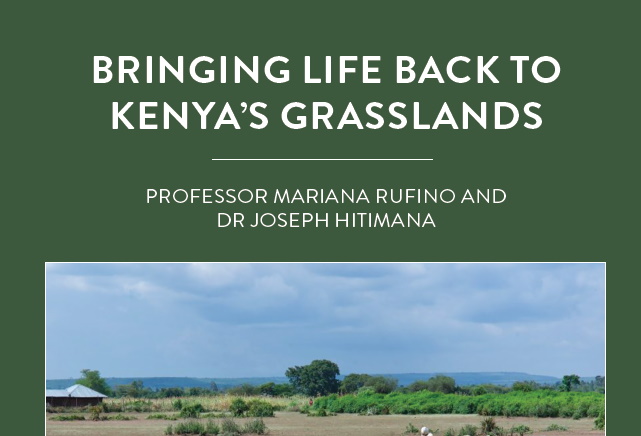 Land degradation causes soils to become less fertile, resulting in lower productivity in agricultural regions and decreased biodiversity […]