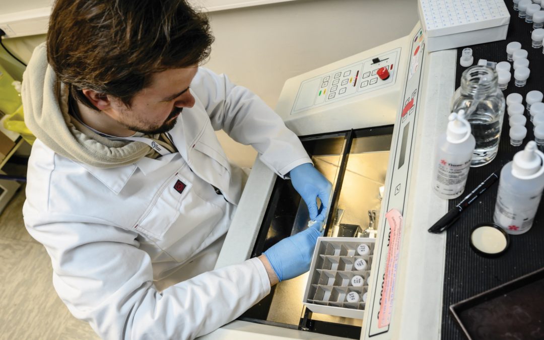 Manipulating the brain’s ‘gatekeepers’ could thwart obesity and prevent dementia