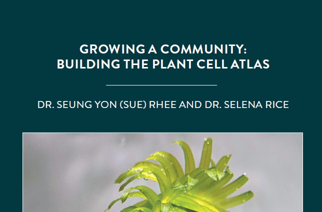 Plants are integral to society, but there are still big knowledge gaps about how they work at the molecular and cellular levels. To address this […]