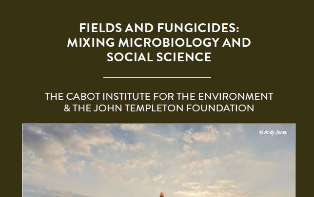 Farmers often use fungicides to protect their crops from fungal diseases. However, there are worries that these fungicides can damage […]